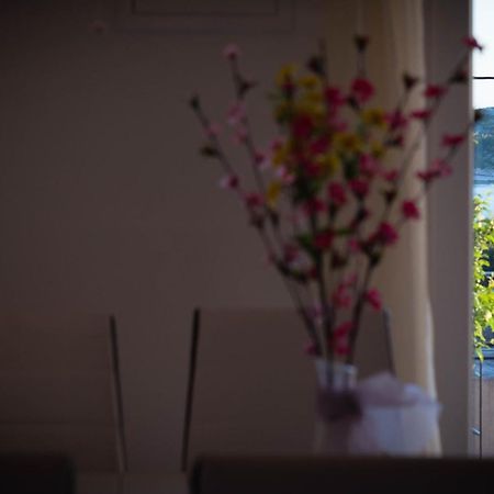Apartments Nakic 시베니크 외부 사진